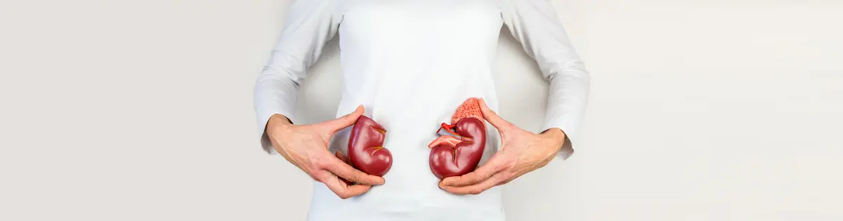 Kidney recovery, Renal failure, Treatment of chronic kidney disease, Pyelonephritis, Urolithiasis, How to treat kidneys, How