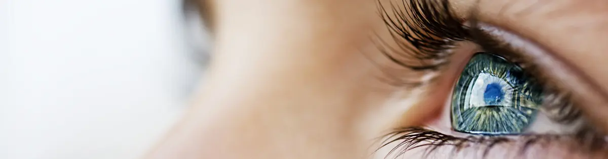 Vision program, Is it possible to improve vision without surgery? Restoring vision at home, how to improve vision, restore vi